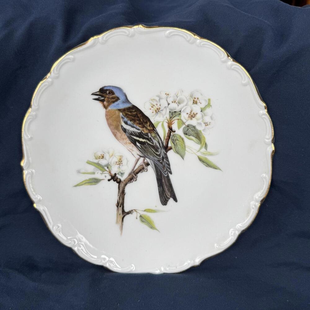 SCHUMANN Arzberg Bavaria Blue Bird Plates Gold Rimmed 8” Vintage